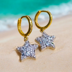 Swarovski Taşlı Altın Rodajlı Yıldız Gümüş Küpe